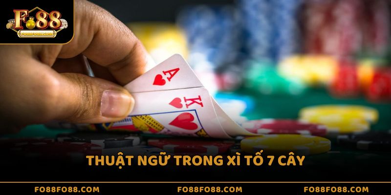 Thuật ngữ trong xì tố 7 cây